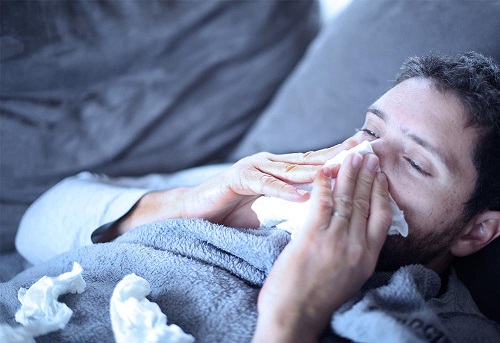 influenza en mxico